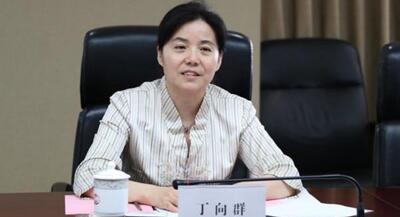 廣西副主席丁向群，調(diào)任安徽省委常委、組織部部長，曾任國開行副行長(丁向群簡歷)