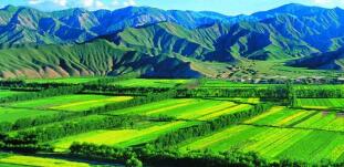 廣西農(nóng)村投資集團(tuán)待遇怎么樣？廣西農(nóng)業(yè)信貸擔(dān)保公司工資多少？中層如何？