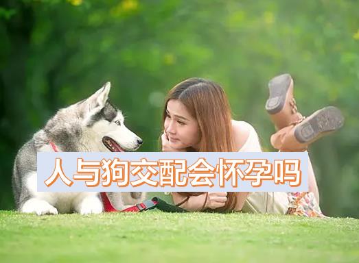 女人和狗交配會懷孕嗎？人與狗交配會怎樣？喝了酒跟我家的狗狗做了愛該怎么辦啊？